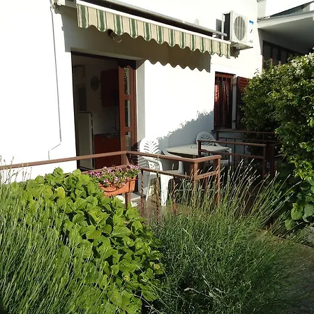 Kubo